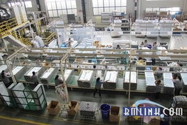 金友華 以匠心鑄就品質，合肥三洋的冰箱與展會服務之路